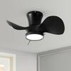 QRMOK 22 in. LED Indoor Black Small Ceiling Fan with Light and Remote, Reversible DC Motor and 3 Blades OC22-BK-3X-F0