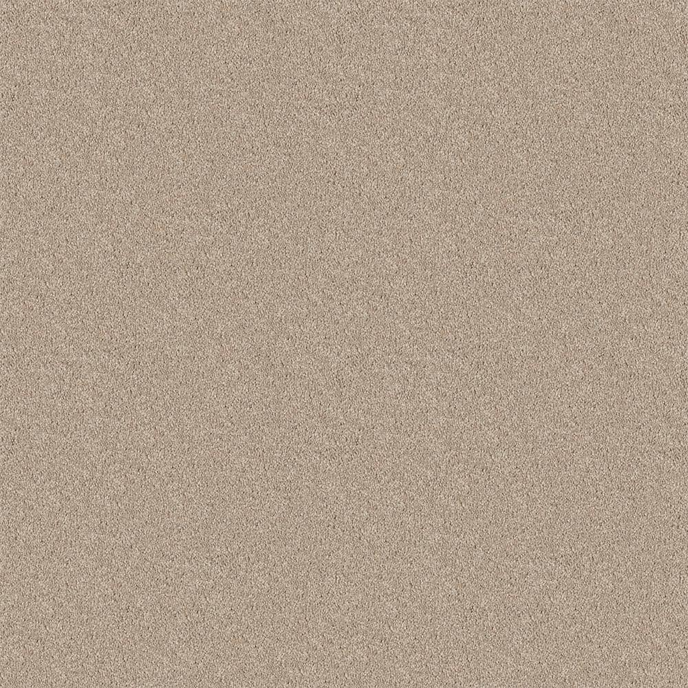 Trafficmaster Watercolors Ii - Homespun - Beige 38.4 Oz. Polyester 