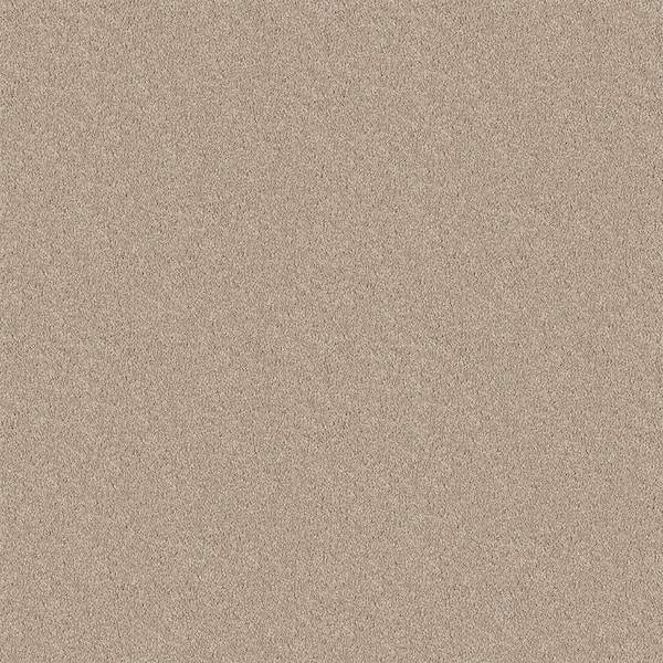 TrafficMaster Watercolors II - Homespun - Beige 38.4 oz. Polyester ...