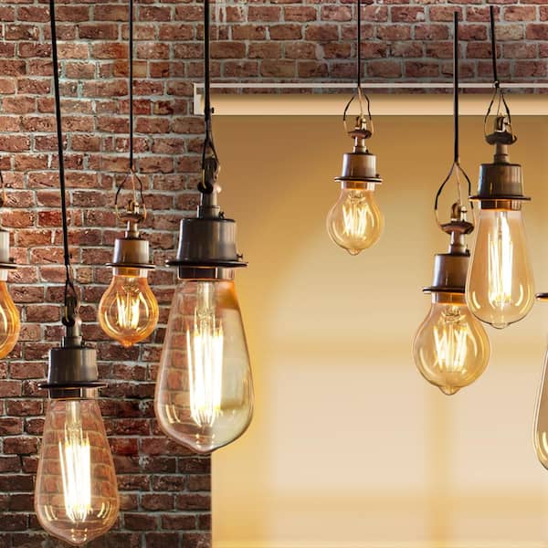 100-Watt Equivalent ST19 Dimmable Straight Filament Clear Glass E26 Vintage Edison LED Light Bulb, Warm White (16-Pack)