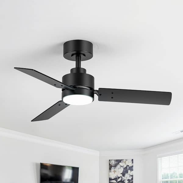 Bartholomew 36 in. Indoor Black Ceiling Fan with LED Light and Remote Control Included