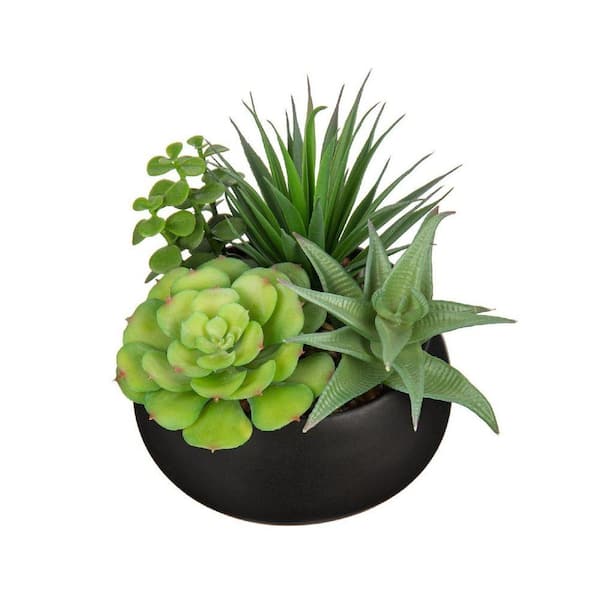 Unbranded 7 in. Green Indoor Decor Succulent Artificial Plant with Black  Ceramic Pot HDCR47ZMCL