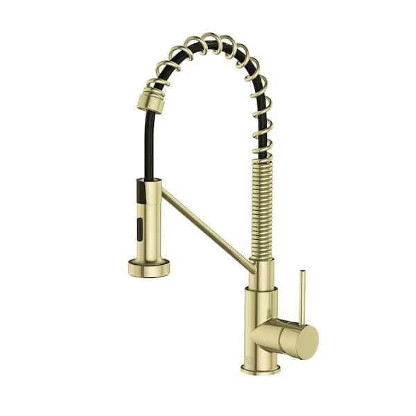 Timeless Home Brushed Gold 18 in. Single Handle Pull Down Sprayer