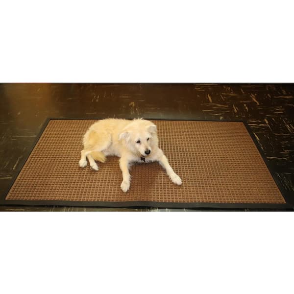 Rubber-Cal 2-ft x 3-ft Brown Rectangular Indoor or Outdoor Animals Door Mat  in the Mats department at