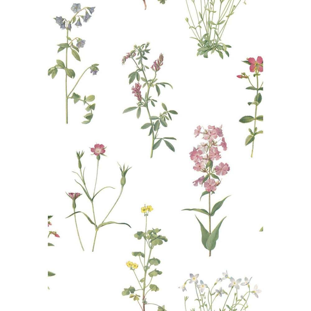 Green and Pink Floral Botanical Peel and Stick Wallpaper Roll