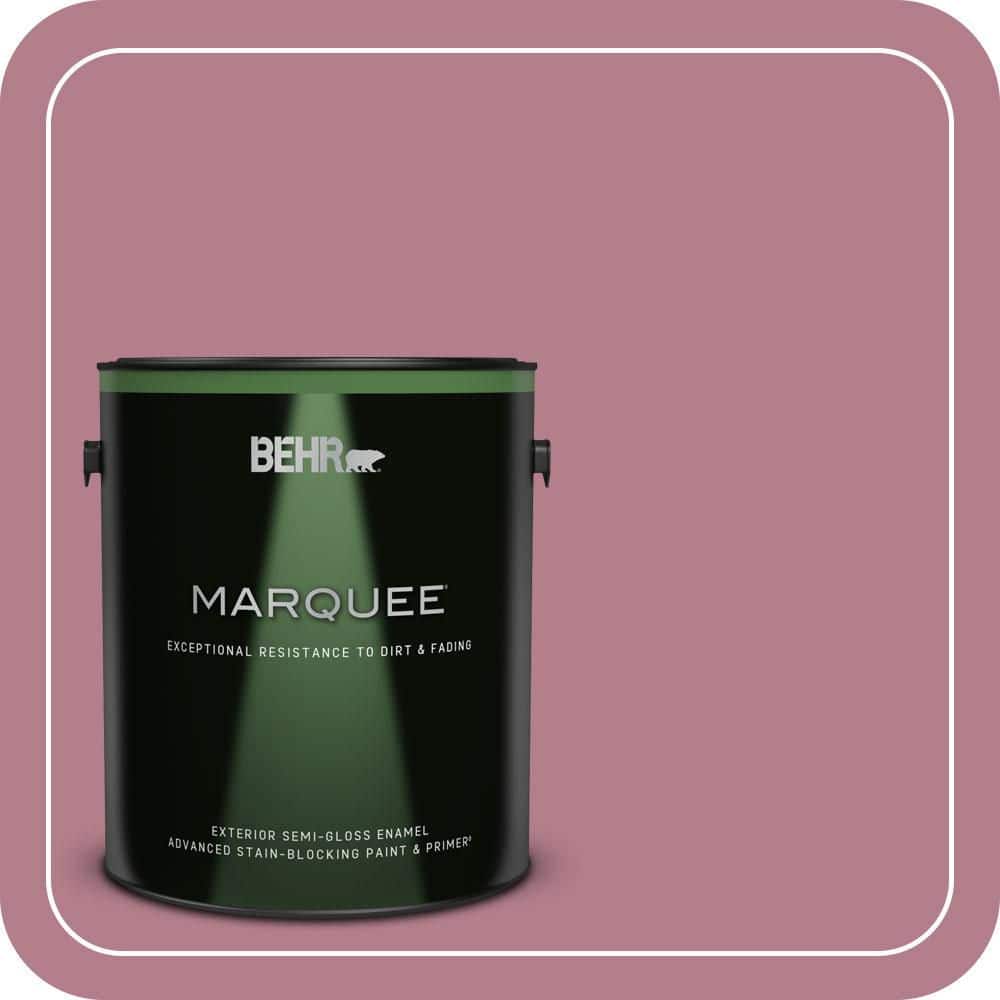 1 gal. #100D-4 Degas Pink Semi-Gloss Enamel Exterior Paint & Primer price history on PriceWatchPro