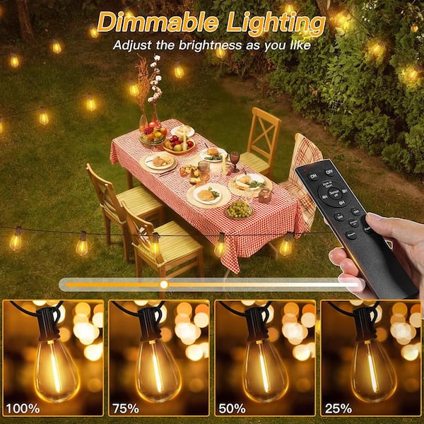 16 Light 30 ft. Black Indoor/Outdoor Remote Dimmable 3-Mode Timers
