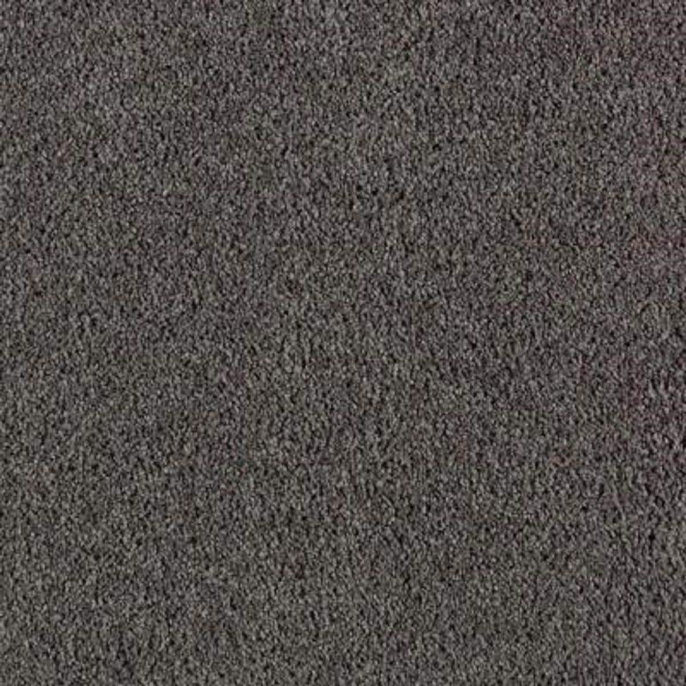 8 in. x 8 in. Texture Carpet Sample - Ambrosina II -Color Silhouette price history on PriceWatchPro