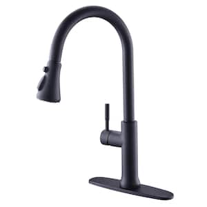Single Handle Pull-Down Sprayer Kitchen Faucet with Flexible and Power Clean in Matte Black