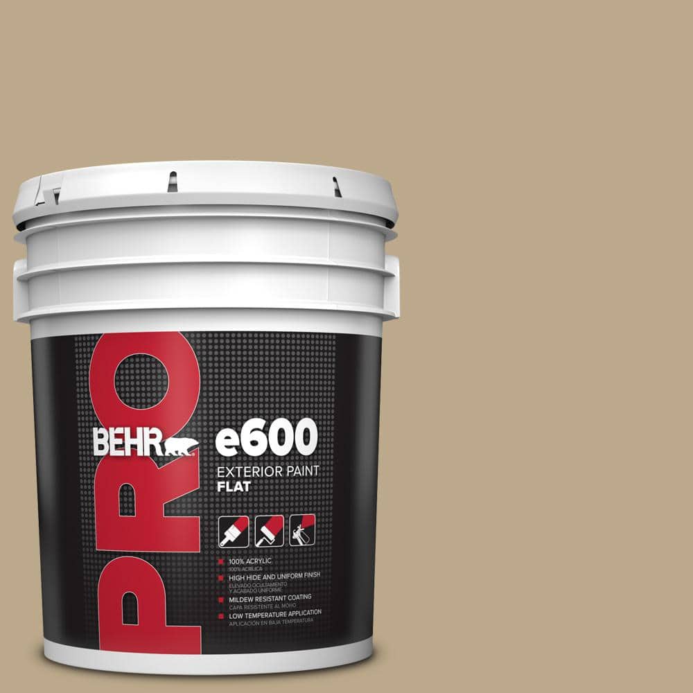 5 gal. #HDC-NT-16 Natural Chamois Flat Exterior Paint price history on PriceWatchPro
