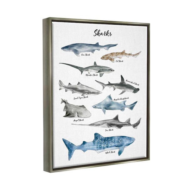 Baby Shark Wall Decorating Kit, 14pc