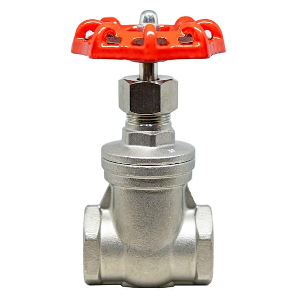 Anderson Metals 2 in. x 2 in. 316 Grade Stainless Steel Gate Valve