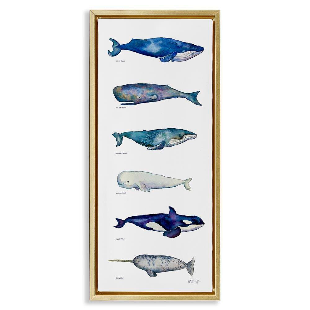 Maritime Sea Life Chart by MB Cunningham Gold Floater Frame Graphic Art Print Animal 25 in. x 11 in. price history on PriceWatchPro