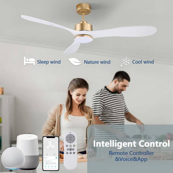 Control ceiling fan with best sale google home