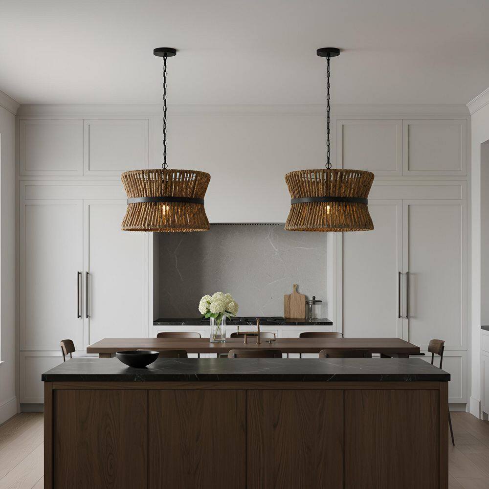 Thurlo 14.25 in. W x 9.5 in. H 2-Light Midnight Black Transitional Pendant Light with Natural Abaca Rope Steel Shade price history on PriceWatchPro