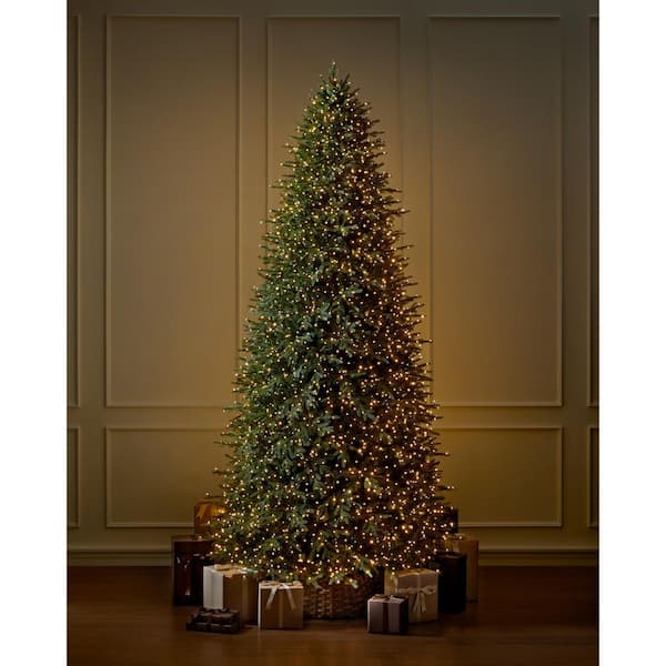 12 ft SMART Grand Duchess Twinkling Balsam Fir LED Pre-Lit Tree T39