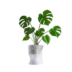 Brent MidCentury Modern Indoor Crushed Can Eco-Friendly PLA Plastic 3D Printed Planter with Drainage, Chalk
