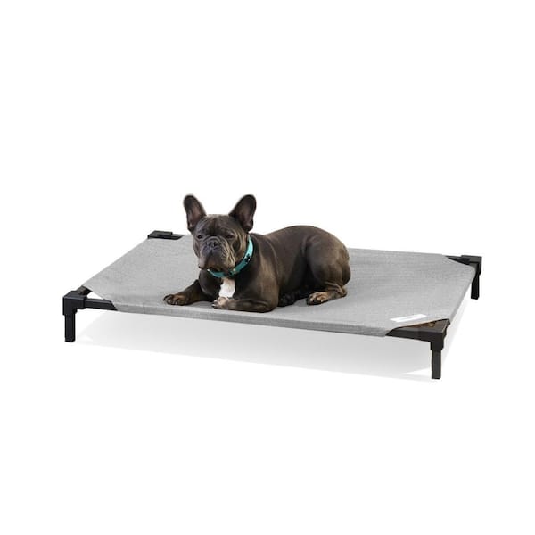 Coolaroo Medium Steel Pet Bed Pro 501334 The Home Depot