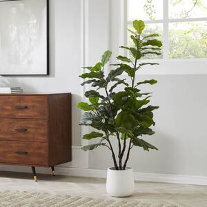 Lofty 59 in. Artificial Fiddle Leaf Tree in White Fiberglass Pot