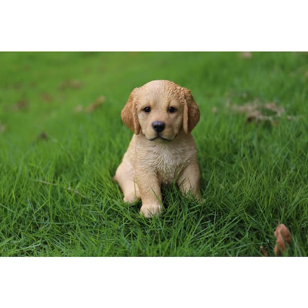 HI-LINE GIFT LTD. Yellow Golden Retriever Puppy Sitting