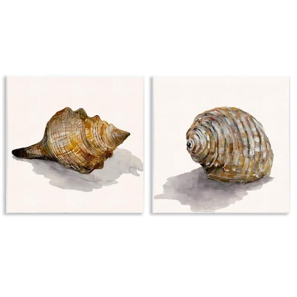 Neutral Beach Shells by Jacob Q 2 Pieces Unframed Coastal Graphic Art Print 12 in. x 12 in.