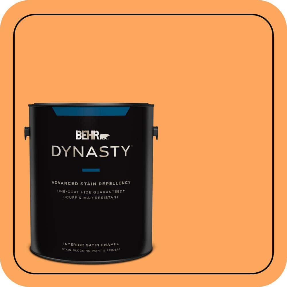 1 gal. #270B-5 Melon Satin Enamel Interior Stain-Blocking Paint & Primer price history on PriceWatchPro