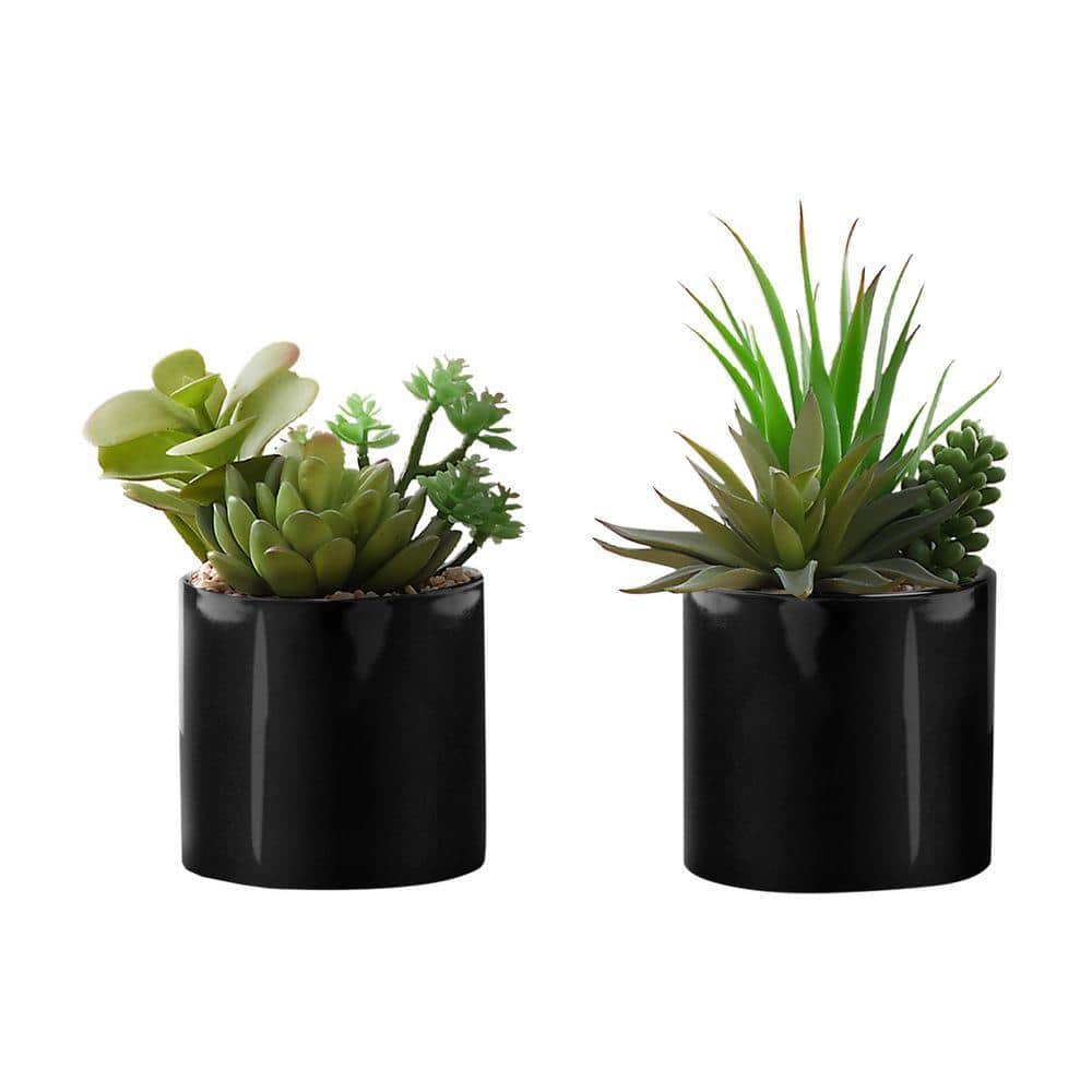 OPICUTE 0.58 ft. Artificial Succulent Tree in Pot (Set of 2