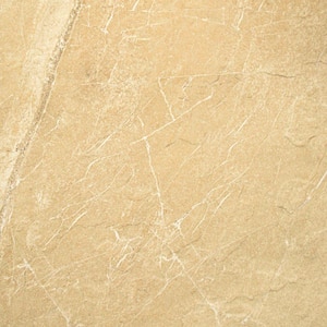 Ayers Rock 20 in. x 20 in. Glazed Porcelain Floor and Wall Tile (13.72 sq. ft. / case)