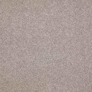 Tides Edge - Outerbanks Brown 50 oz. Triexta PET Texture Installed CarpetCarpet