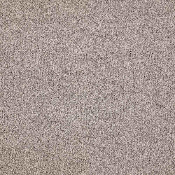 Lifeproof with Petproof Technology Tides Edge - Outerbanks Brown 50 oz. Triexta PET Texture Installed CarpetCarpet