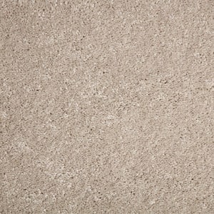 8 in. x 8 in. Texture Carpet Sample - Gemini II Color -Color Artisan Hue