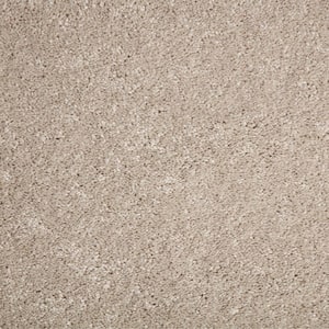 8 in. x 8 in. Texture Carpet Sample - GEMINI II -Color CANNON