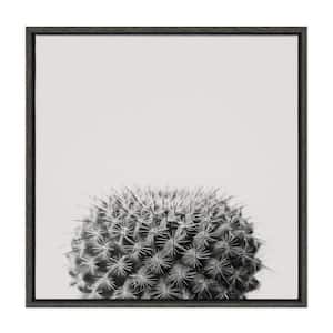 Haze Succulent Cactus Short by The Creative Bunch Studio Framed Nature Canvas Wall Art Print 22.00 in. x 22.00 in.