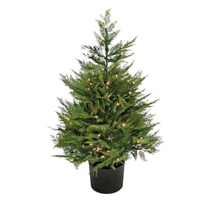 36 in Artificial Cypress Topiary in Black Plastic Nursery Pot with 100 Clear Lights