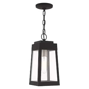 Vaughn 14.5 in. 1-Light Black Dimmable Outdoor Pendant Light with Clear Glass and No Bulbs Included