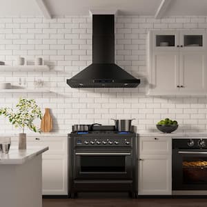 Why You Should Buy a Commercial Range Hood For Your Home