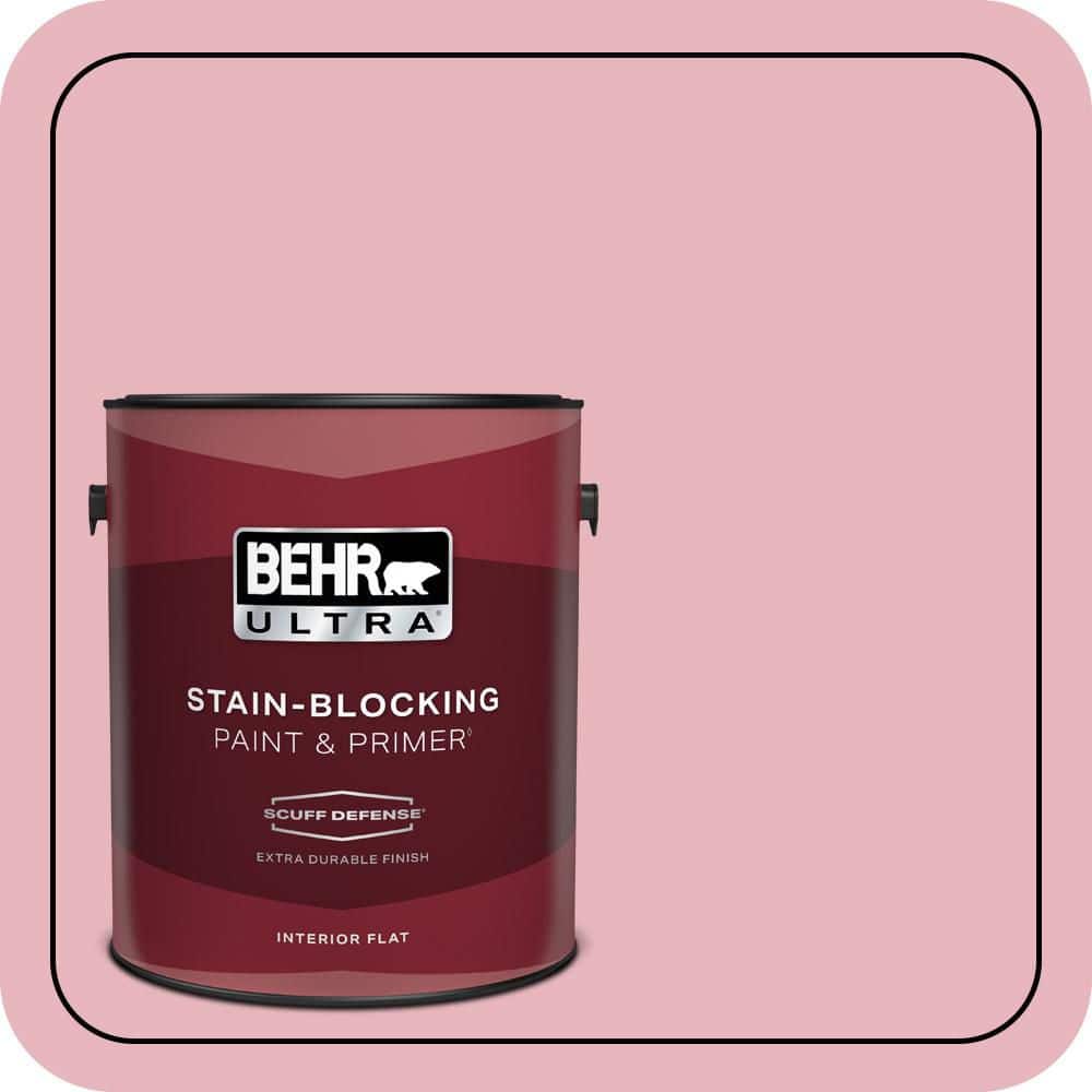 1 gal. #110C-2 Colonial Rose Extra Durable Flat Interior Paint & Primer price history on PriceWatchPro