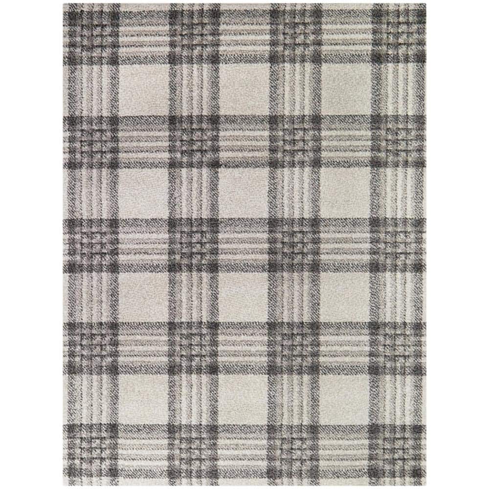 Monte Grey 5 ft. x 7 ft. Plaid Area Rug price history on PriceWatchPro