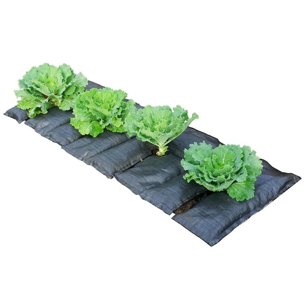Unbranded GardenMat48 - 48 in. x 22 in. Garden Bed Hydration Mat with 4 Openings for Plants for 4 ft. to 8 ft. Beds