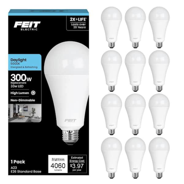300-Watt Equivalent A23 Non-Dimmable High Brightness Frosted E26 Medium Base LED Light Bulb Daylight 5000K (12-Pack)