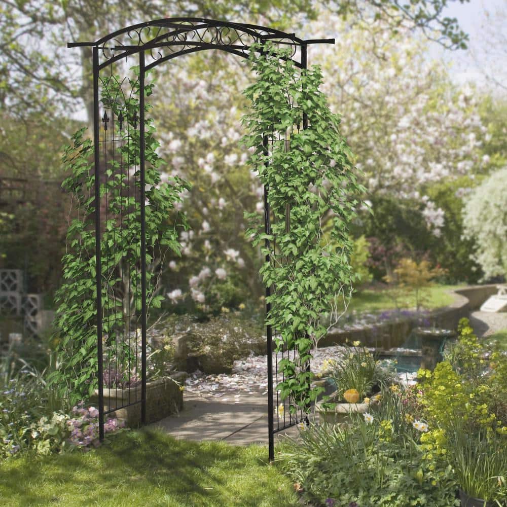Matte Black Metal Garden Arch Arbor with Scrollwork