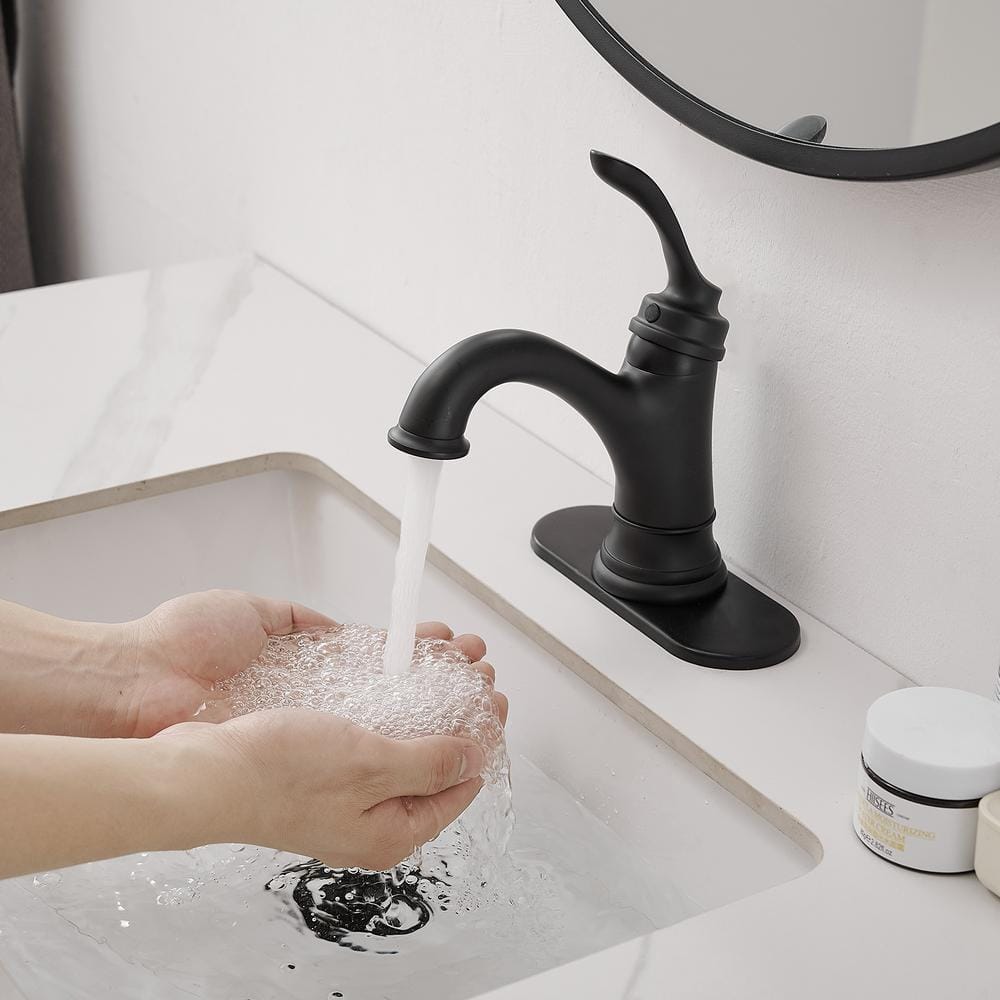 Matte Black Stainless Steel Single-Handle Bathroom Faucet with Drain Assembly