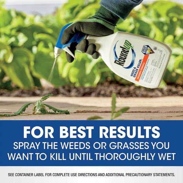Best Weed Killer For Driveways visitchile.cl