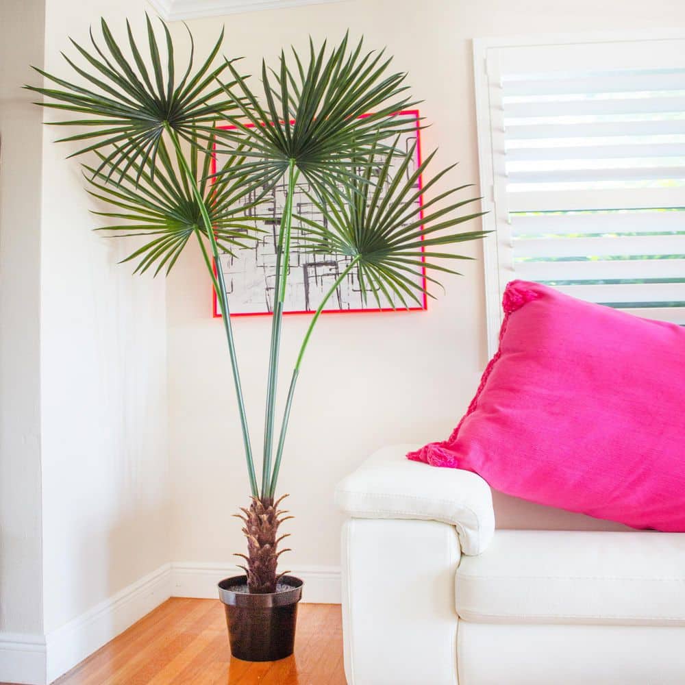 Tropical Majesty 7ft UV Resistant Silk Fan Palm Tree in Decorative Pot