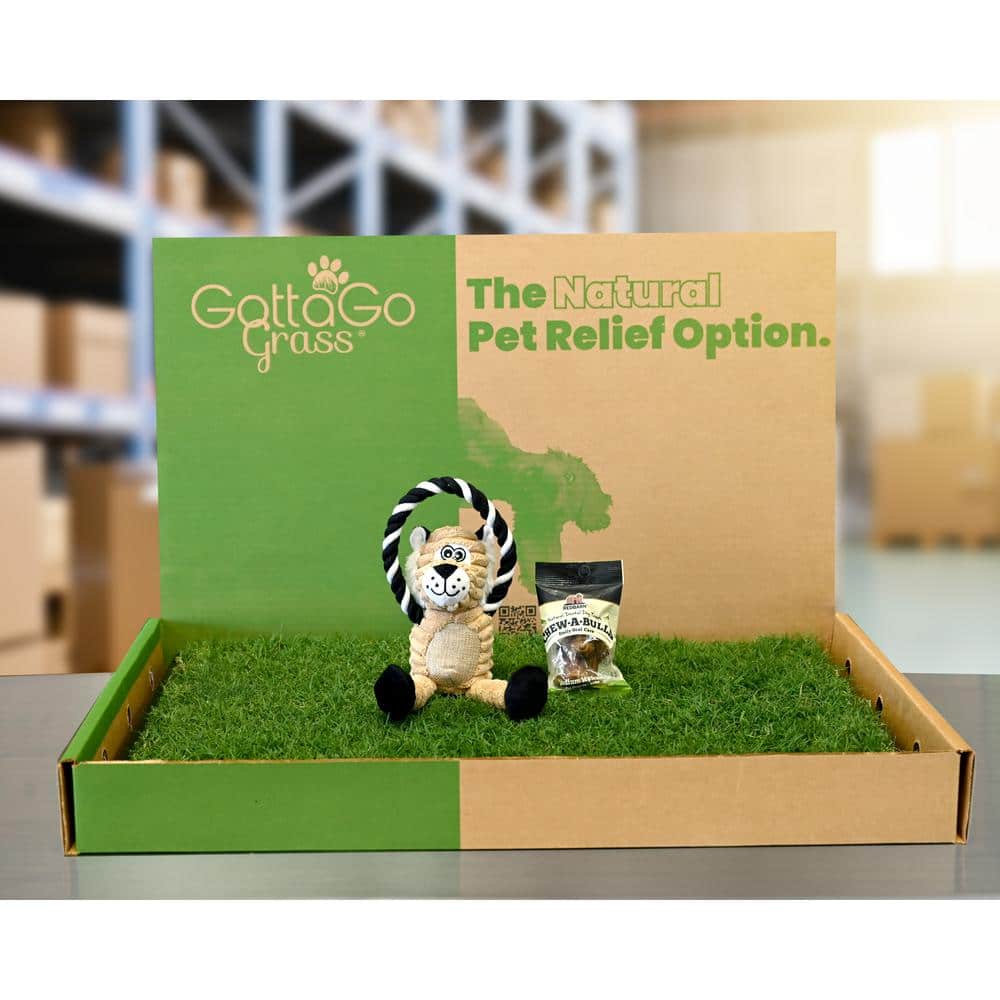 Gotta Go Grass Potty Pad Refill 2-Pack Plus Treat Plus Squeaky Toy