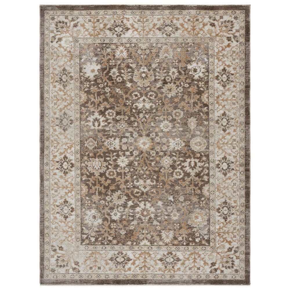 Hazel 5 ft. x 8 ft. Brown/Ivory Floral Medallion Area Rug price history on PriceWatchPro