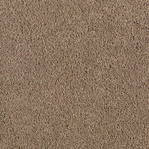 Ambrosina II  - Worn Leather - Beige 38 oz. Triexta Texture Installed Carpet
