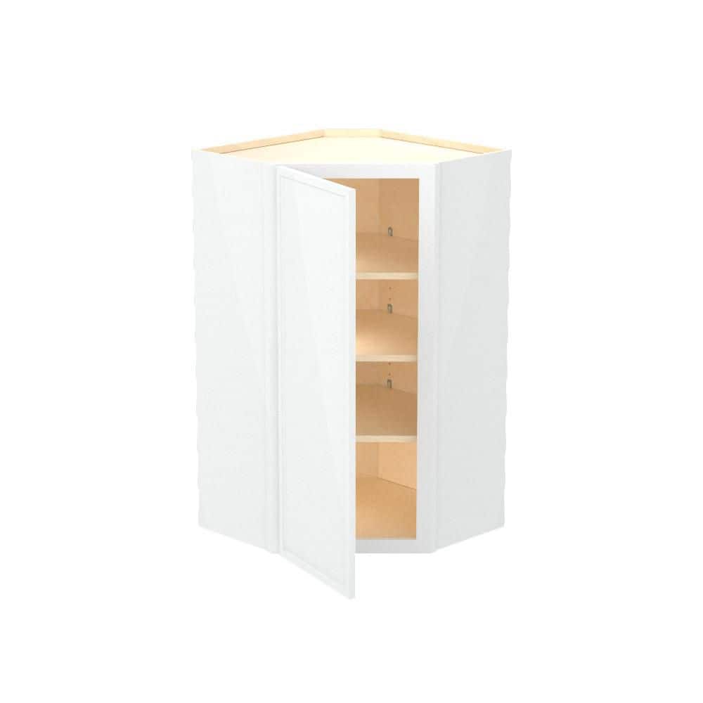 Franklin 24 in. W x 12 in. D x 42 in. H Assembled Plywood Wall Corner Kitchen Cabinet in Vesper White with Soft Close