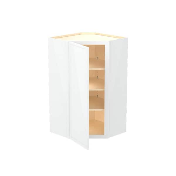 Franklin 24 in. W x 12 in. D x 42 in. H Assembled Plywood Wall Corner Kitchen Cabinet in Vesper White with Soft Close