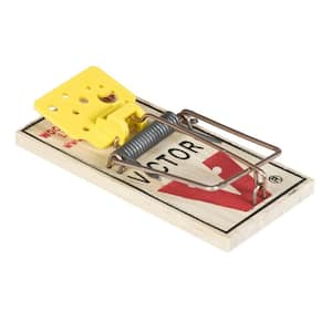 Easy Set Mouse Trap (72-Pack)